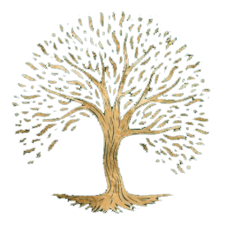 Logo Davy Magnétiseur Energéticien